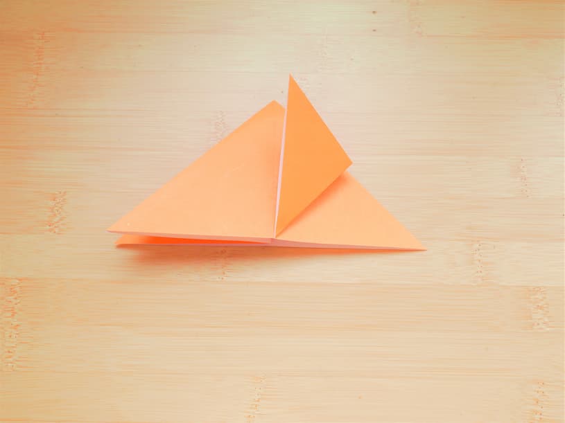 オレンジチューリップの小さい三角